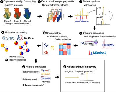 Metabolomics and Marine Biotechnology: Coupling Metabolite Profiling and Organism Biology for the Discovery of New Compounds